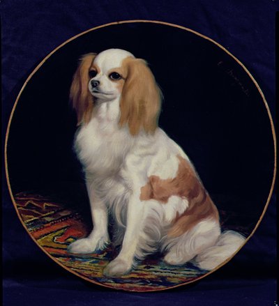 King Charles Spaniel von Charles Emile Callande de Champmartin